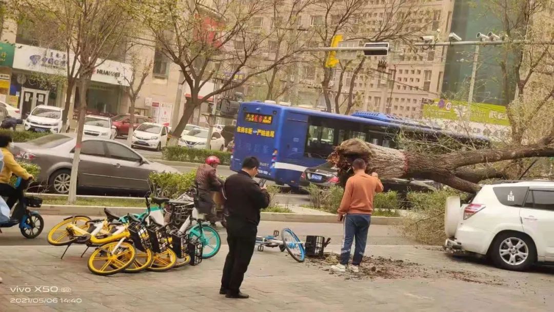 呼和浩特市展览馆西路大树被风连根拔起，路边停放车辆遭殃...休闲区蓝鸢梦想 - Www.slyday.coM