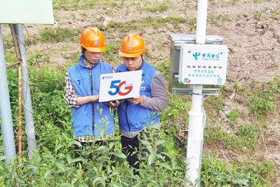 ▲中国电信南平分公司技术人员在茶园调试物联网设备