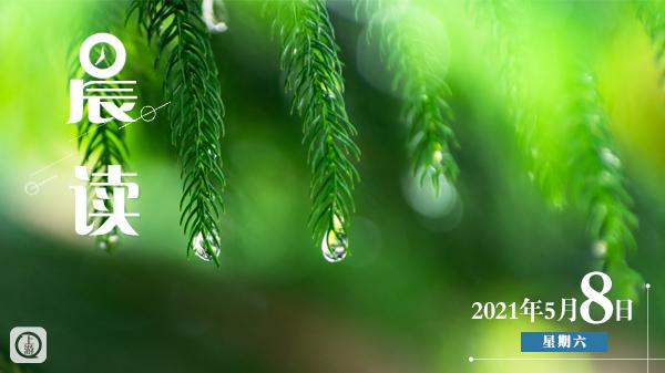 晨读休闲区蓝鸢梦想 - Www.slyday.coM