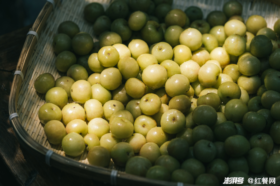 奈雪让全国人民认识了油柑 ,"爆款制造机"做对了什么?|杨梅_新浪财经_