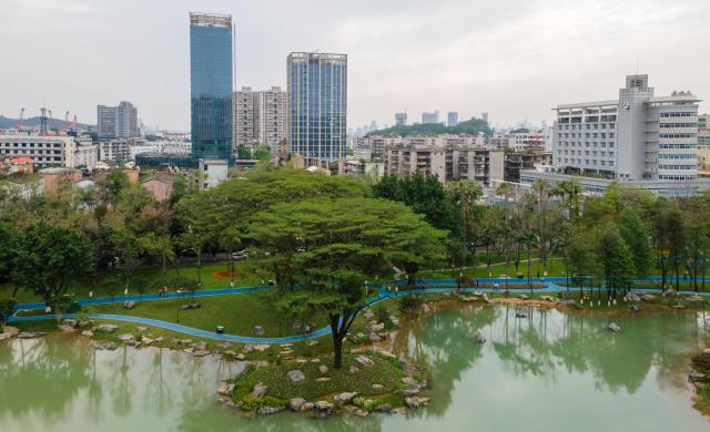 广州再添一处巨型绿肺黄埔公园携近7万平绿地升级亮相