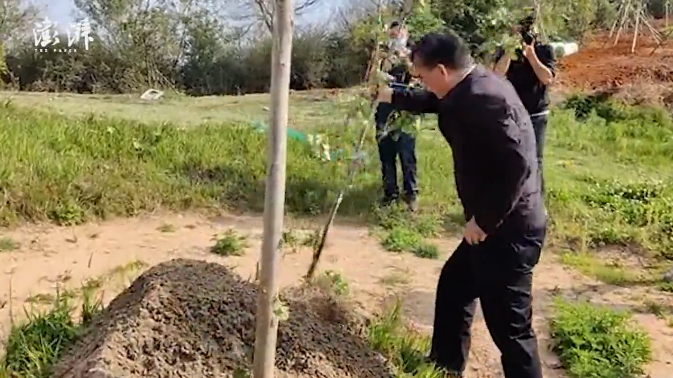 的昆明滇池国家旅游度假区管委会党工委书记武斌把这几棵"树"拔起来