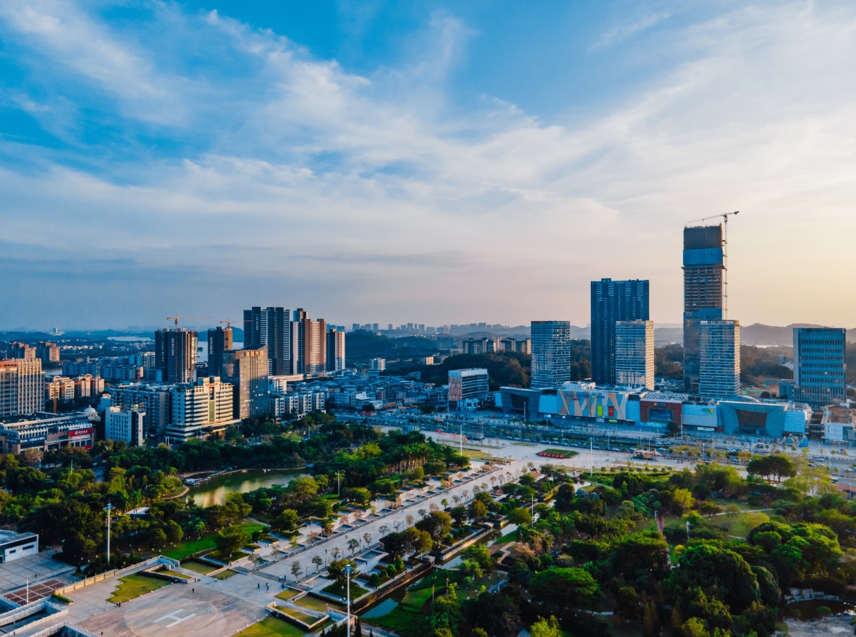 广州市增城区因财政预算执行,盘活财政存量资金,国库库款管理,推进