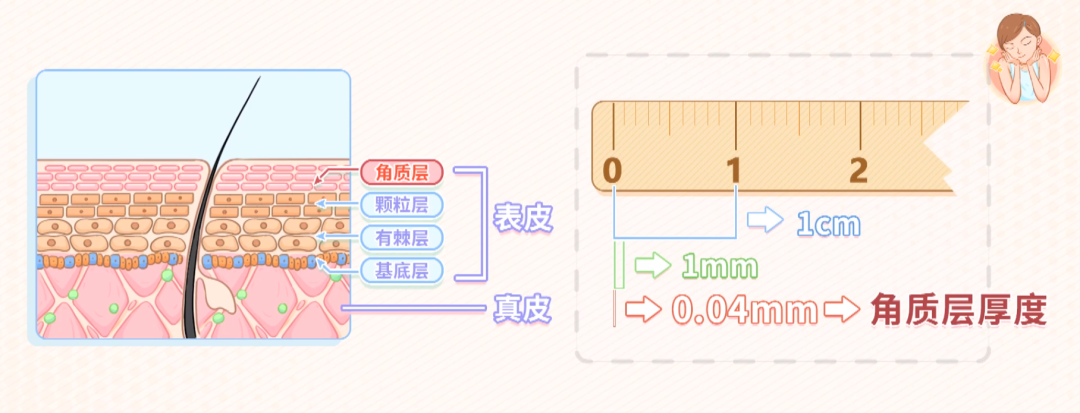 脸部皮肤需要经常去角质吗