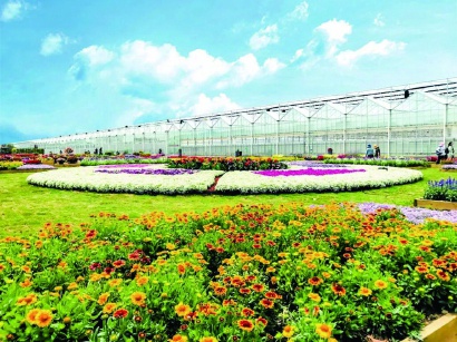2亿元的超大型智能花卉种苗基地项目——上海崇明智慧生态花卉园试
