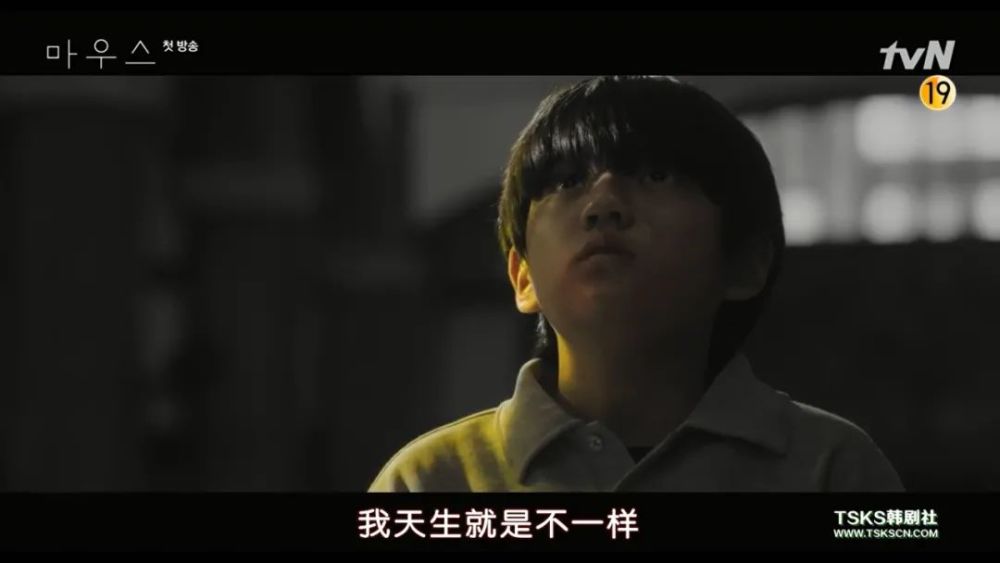 窥探怎么样好看吗 窥探豆瓣评分是多少收视率如何