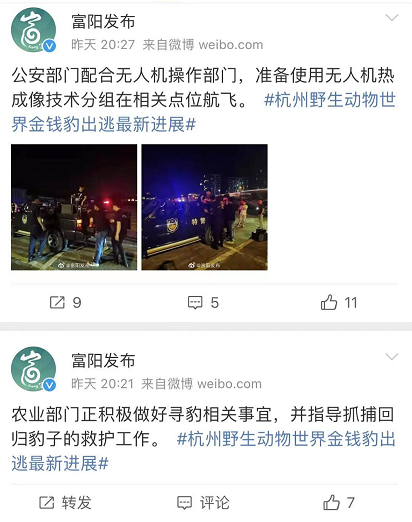 最后一只豹子被发现，但是......休闲区蓝鸢梦想 - Www.slyday.coM