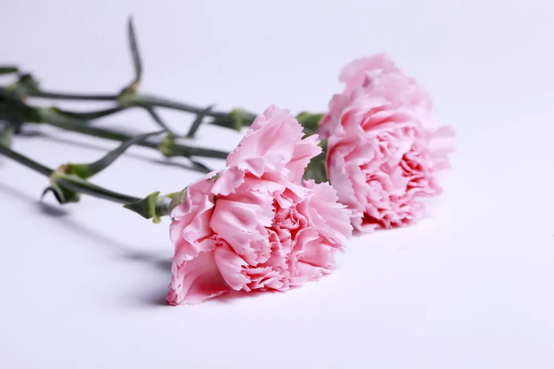 全网爆哭！12岁男孩凌晨离家出走：“我想去妈妈的坟上看看”！打开评论区…眼泪再次决堤休闲区蓝鸢梦想 - Www.slyday.coM