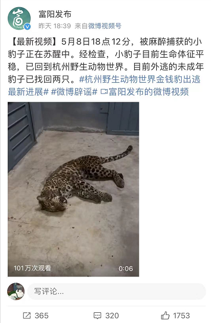 最后一只豹子被发现，但是......休闲区蓝鸢梦想 - Www.slyday.coM