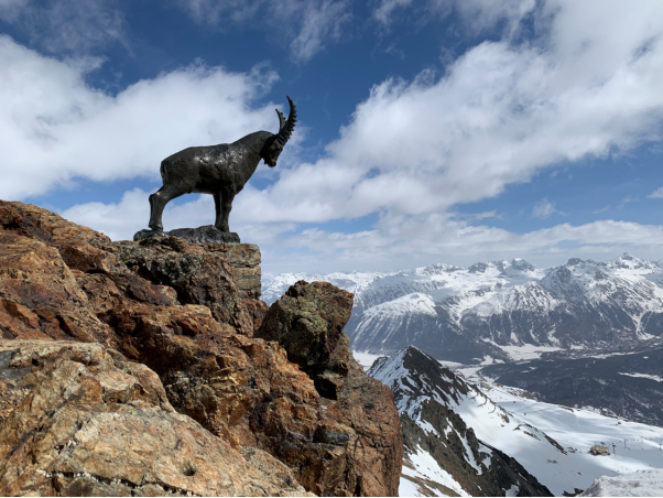 瑞士人口罩_瑞士人到处找口罩,而德国人在看球