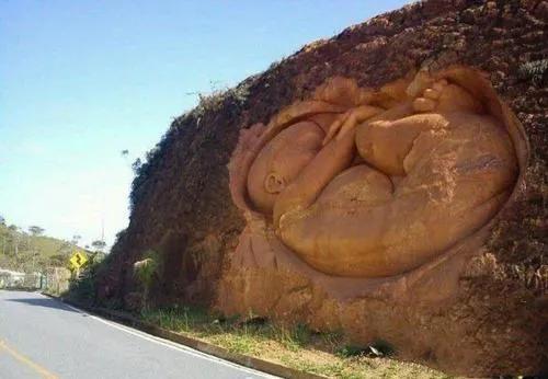 感恩大地母亲滋养万物生命