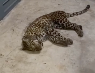 晨读｜钟南山：中国新冠疫苗接种率距全民免疫远远不够 谨防输入的风险休闲区蓝鸢梦想 - Www.slyday.coM