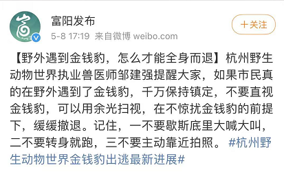最后一只豹子被发现，但是......休闲区蓝鸢梦想 - Www.slyday.coM