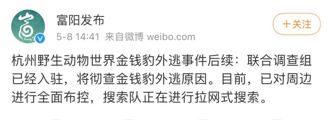 最后一只被发现！野生动物世界为何瞒“豹”？休闲区蓝鸢梦想 - Www.slyday.coM