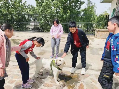 孩子们与陪护犬三皮开心地玩耍(受访者供图)
