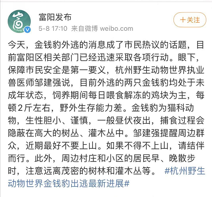 最后一只豹子被发现，但是......休闲区蓝鸢梦想 - Www.slyday.coM