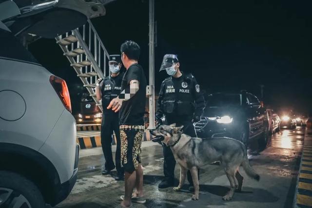 警犬飓风火出圈,"谁给建的百科……"|警犬_新浪财经_新浪网