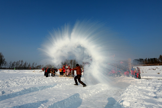林都伊春森林里的家
