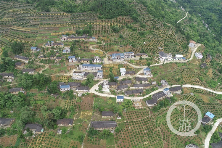 报告会现场，毛相林的这些“金句”直抵人心！休闲区蓝鸢梦想 - Www.slyday.coM