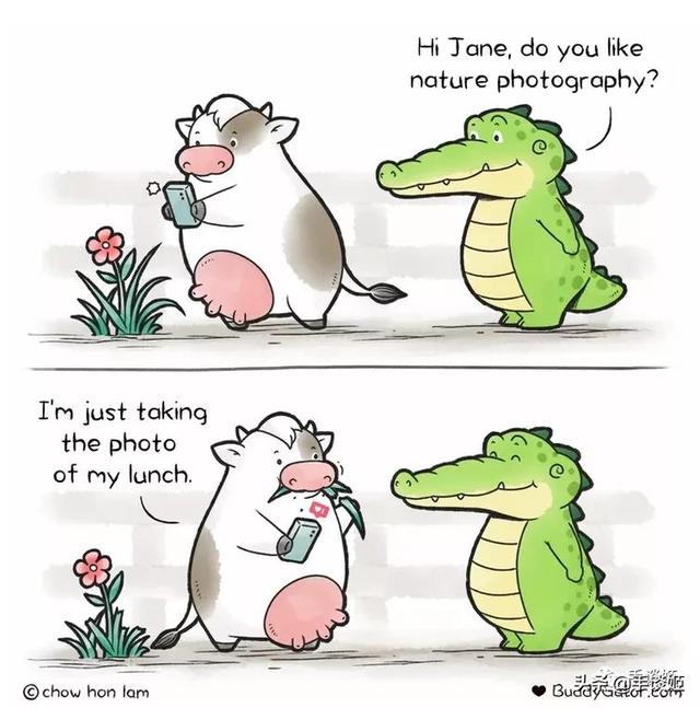 太可爱了吧这位漫画家居然用一只鳄鱼治愈人心