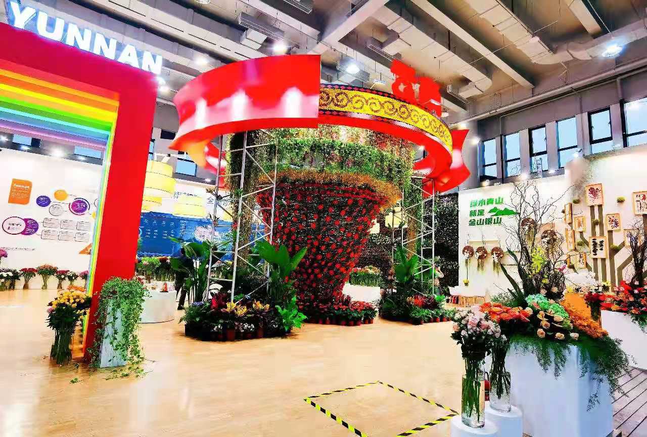 走马观花休闲区蓝鸢梦想 - Www.slyday.coM