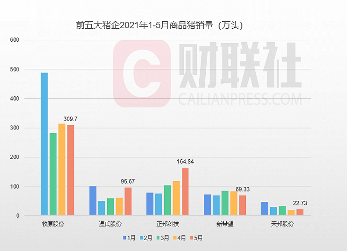 猪价坐“滑梯”，多家猪企成本“防线”被击破，分析人士：6月猪价仍难有起色