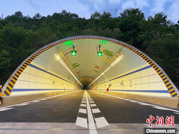 广东云茂高速通车 2000吨三华李陆续运往珠三角|粤西|广东省_新浪科技