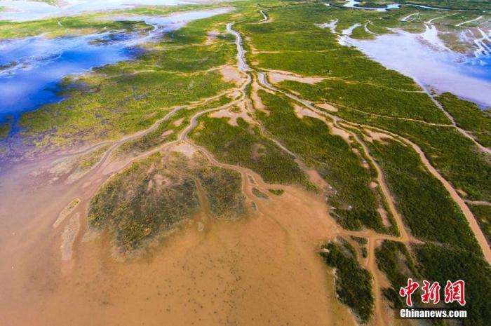 资料图：图为航拍盐城黄海滩涂湿地。孙华金 摄