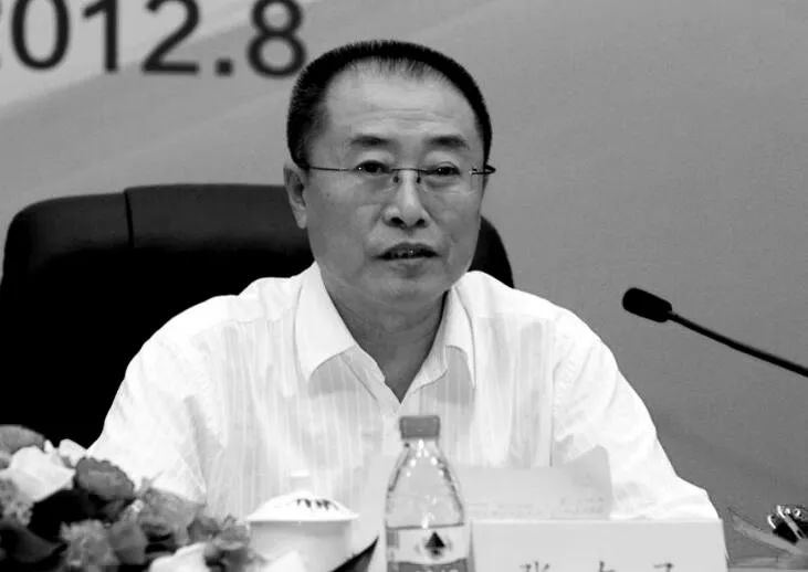 2007年12月,张左己辞去黑龙江省省长职务.2008