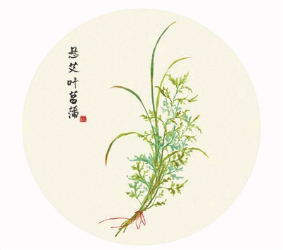 那一把久违的新艾|艾蒿|艾草|老伴_新浪新闻