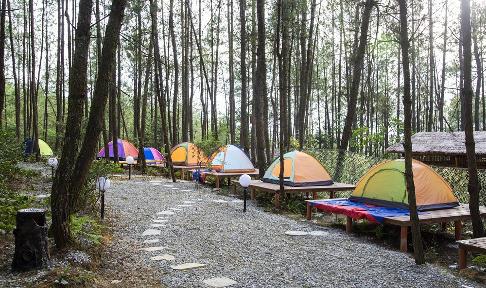 2021重庆忠县首届森林露营节开幕