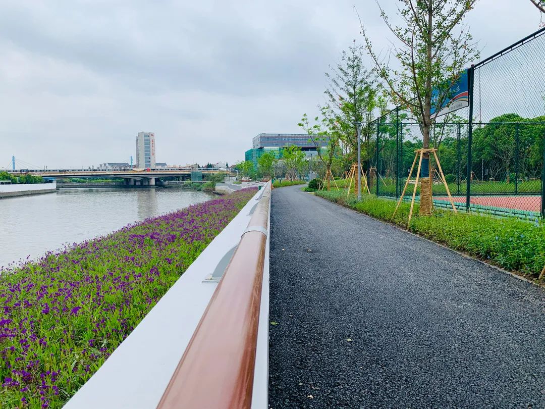 提示约14公里宝山蕰藻浜首个提升改造区段有望近期建成开放