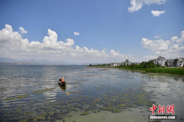 资料图：洱海。 中新社记者 刘冉阳 摄