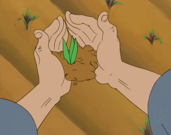 可娃刚迈出脚,一不小心就踩到了禾苗.