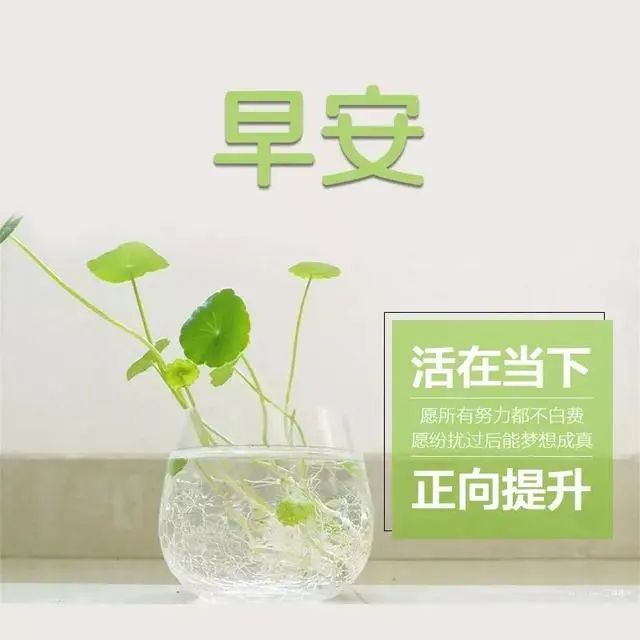 早安心语最美的一句话简短精致让人一见倾心