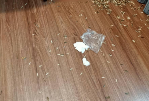 瓜子壳被撒一地.(图源:台媒)