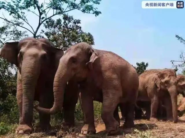 广州两名医务人员核酸检测阳性休闲区蓝鸢梦想 - Www.slyday.coM