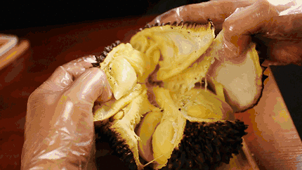 ▲开榴莲盲盒，巨快乐，就是伤荷包