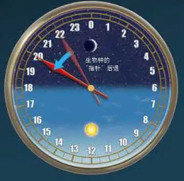 生物钟的周期(大约24小时)有一定的个体差异,有些人的生物钟短于24