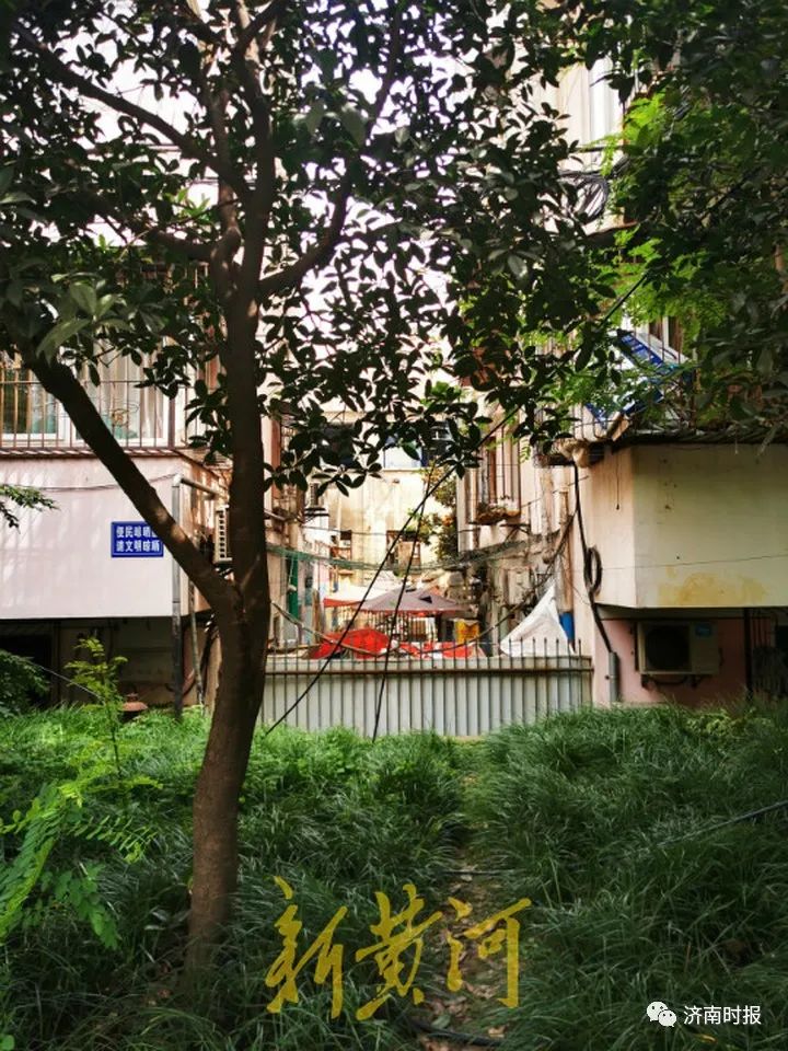 刚刚通报：爆炸事故已致25人死亡休闲区蓝鸢梦想 - Www.slyday.coM