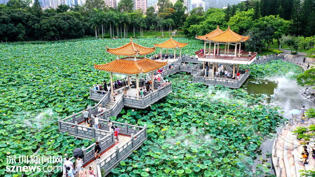 深圳公园端午期间接待游客130.7万人次，最受欢迎的还是它！休闲区蓝鸢梦想 - Www.slyday.coM