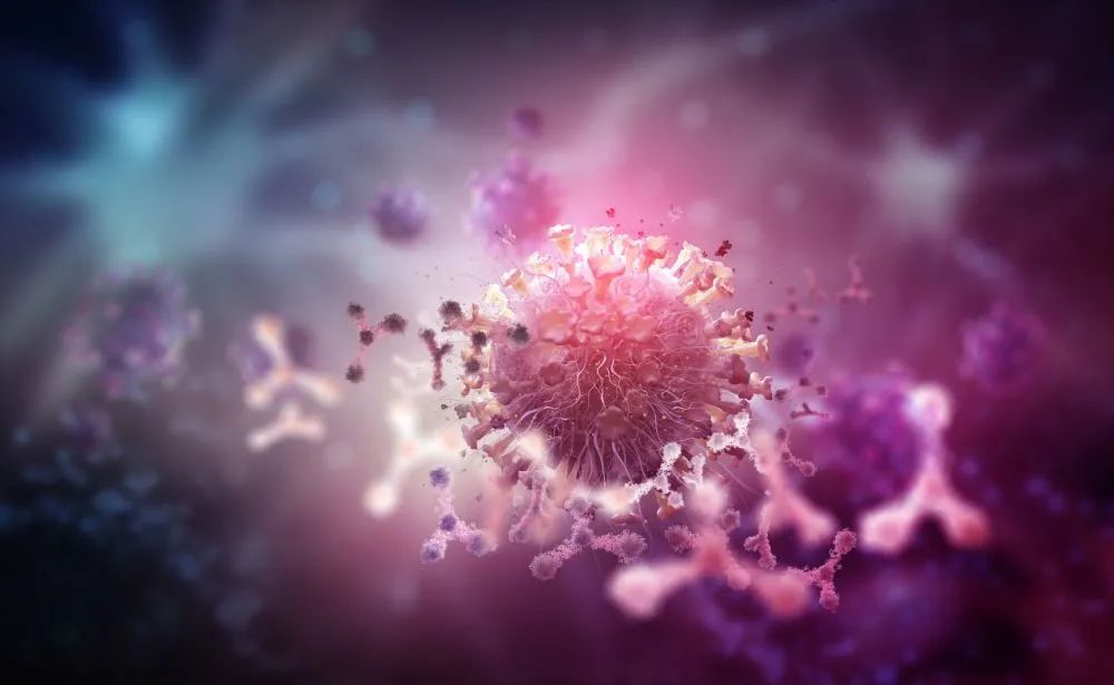 印度发现的变异新冠病毒出现plus版 南非40人旅行团37人感染 防境外输入成重点 广州疫苗接种最新安排 新冠肺炎 新浪新闻 印度发现的变异新冠病毒出现plus版 南非40人旅行团37人感染 防境外输入成重点 广州疫苗接种最新安排 新冠肺炎 新浪新闻