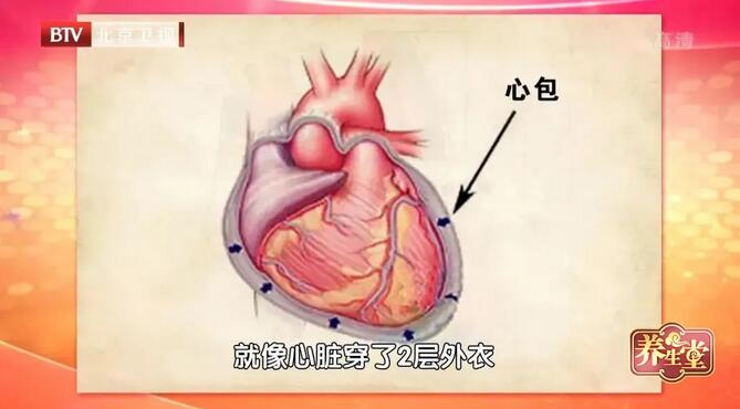 这两层"衣服"有一小腔隙,称心包腔,正常情况下心