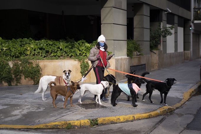 为防控狂犬病，美国将禁止113国的狗入境休闲区蓝鸢梦想 - Www.slyday.coM