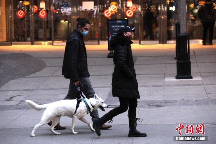 为防控狂犬病 美国将暂停进口来自113个国家的狗休闲区蓝鸢梦想 - Www.slyday.coM
