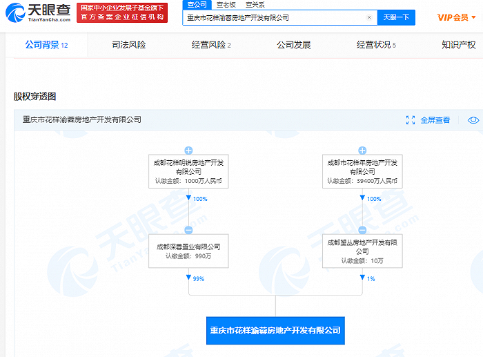 图片来源：天眼查APP官网