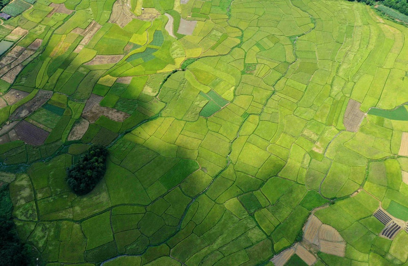 阡陌纵横的田野.谭凯兴摄