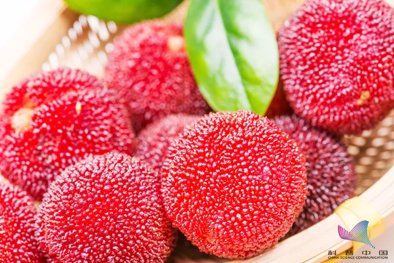 生吞近200颗！胃里密密麻麻…男子紧急送医后竟查出恶性肿瘤，医生：别再这样吃了休闲区蓝鸢梦想 - Www.slyday.coM