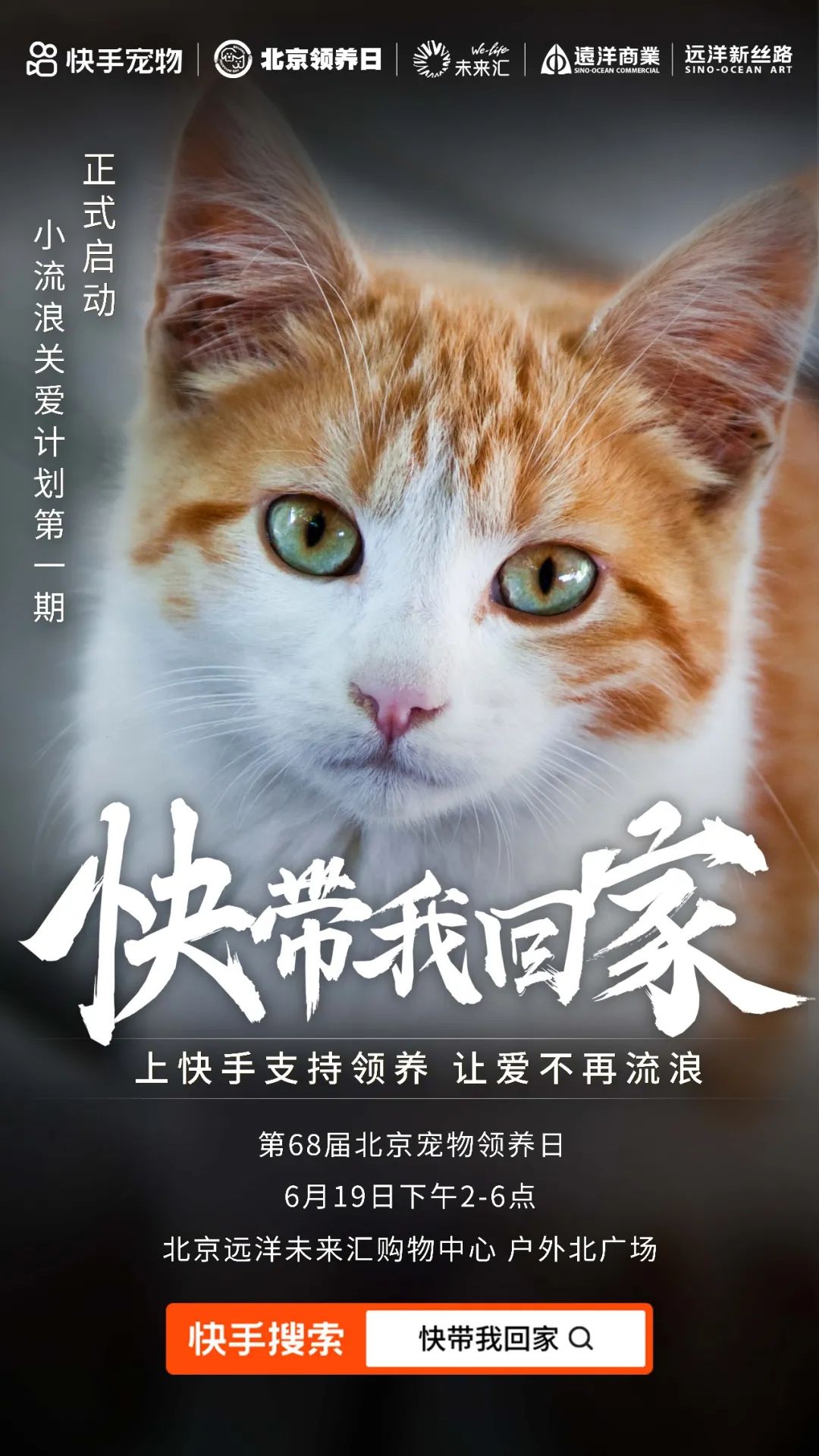 邀请函猫狗预览第68届北京宠物领养日来啦