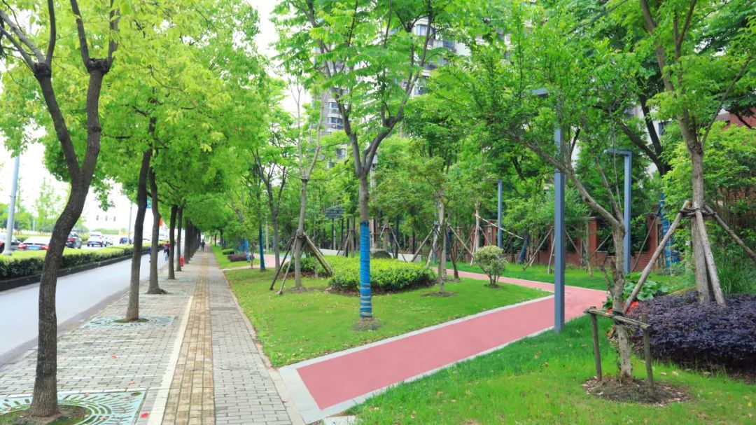 便民总长度126公里闵行新建成的这6条绿道你打卡了吗